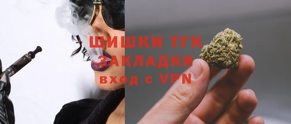 СК Няндома