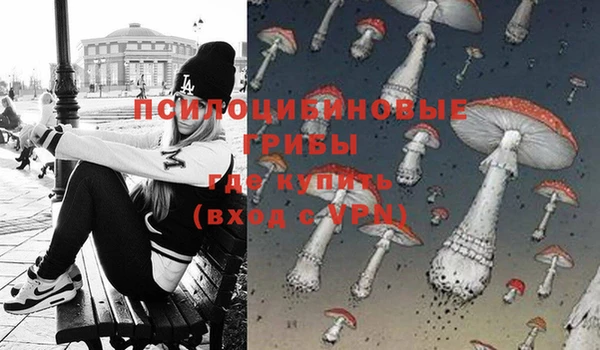 дурь Нягань