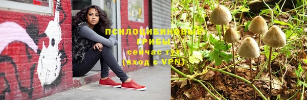 индика Елизово
