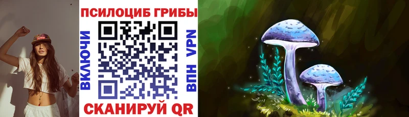 Псилоцибиновые грибы мухоморы  Пущино 